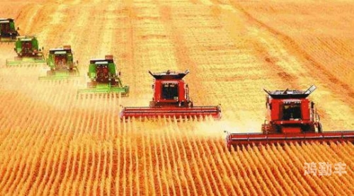乡村老肖乡村大战老妇，一场传统与现代交织的较量-第3张图片