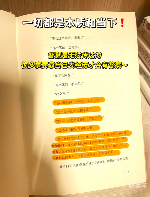 自己对准确了坐下来摇动自我探索之旅，我对准确性的追求与坐下来摇动的意义-第3张图片