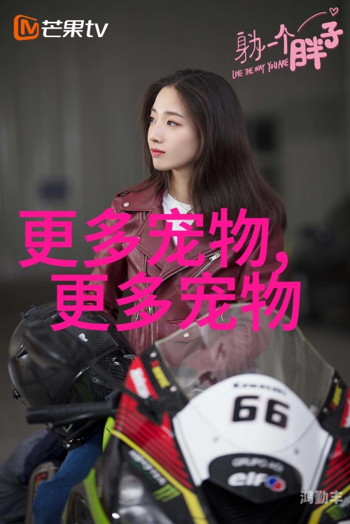 S如何调M小狗，一种负责任的宠物训练方法-第2张图片