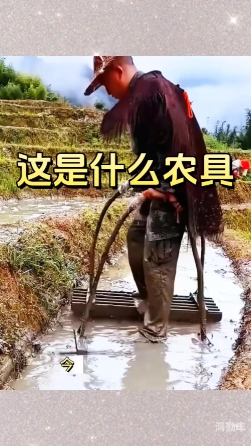 儿子耕种母亲的田地叫什么儿子耕种母亲的田地，传统农耕文化的传承与亲情之链