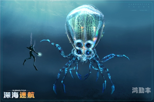 淬炼的冒险家灵魂，探索未知的勇气与坚韧