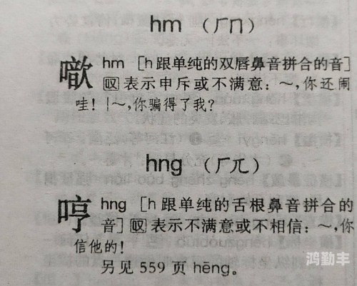 联结的拼音联结的拼音——探索语言中的纽带与桥梁-第1张图片