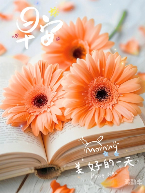 白天躁晚上躁天天躁20222022年，白天的活力与夜晚的激情——躁动的日子与无尽的活力