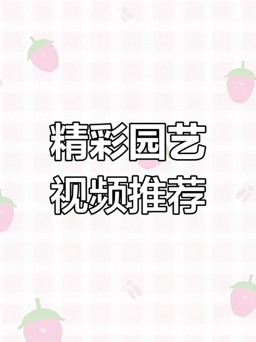 最近中文字幕视频2019年探索2019年热门中文字幕视频的魅力-第1张图片