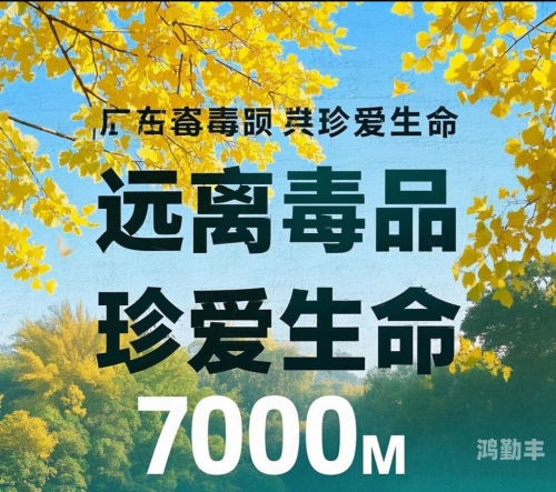 远离不良信息，珍惜健康生活-第2张图片