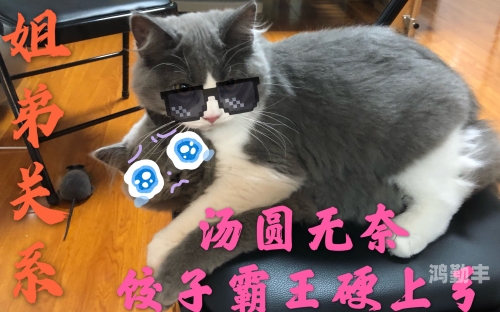 成都女子霸王硬上弓是谁成都女子霸王硬上弓的背后故事-第2张图片