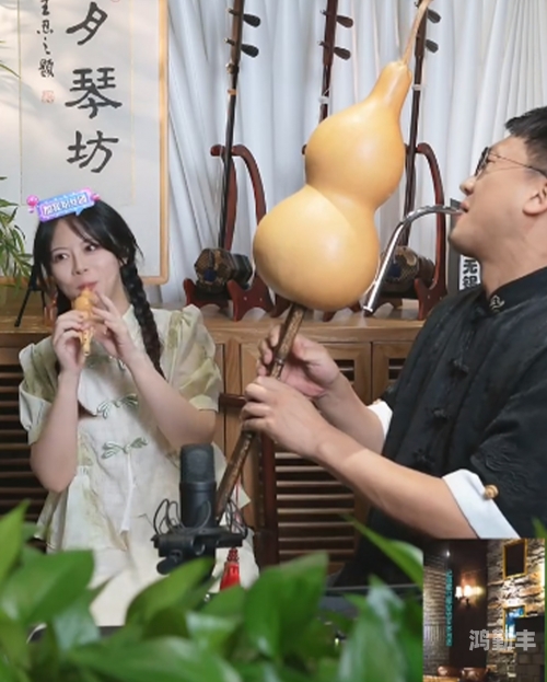 浆果儿视频拉二胡浆果儿视频，探索数字时代的视觉盛宴-第2张图片