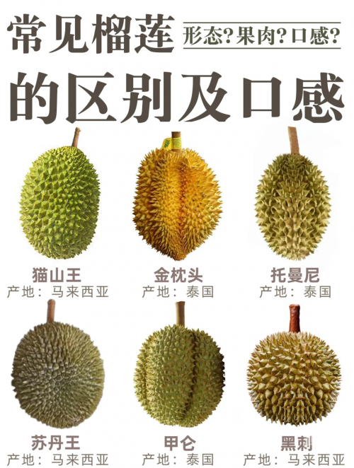 夜里100种禁用软件app榴莲关于夜间使用软件APP的注意事项与探讨-第2张图片