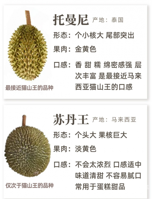 夜里100种禁用软件app榴莲关于夜间使用软件APP的注意事项与探讨-第3张图片