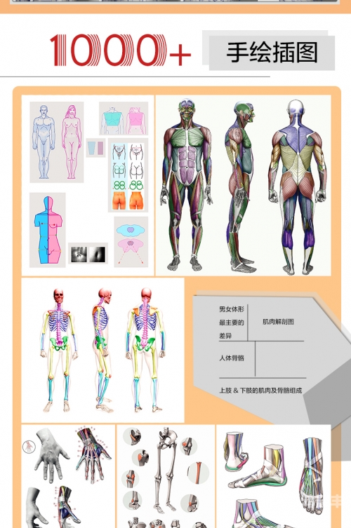 沟沟人体艺木艺欣赏沟沟人体艺术之美，艺术欣赏的独特视角