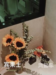 探索乐趣与内存的完美平衡，那些又好玩又内存小的小黄油游戏-第2张图片