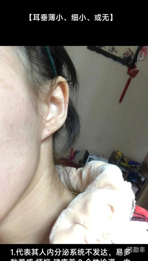 最爽最刺激18禁视频网站探索边缘的视觉体验，最爽最刺激的18禁视频-第2张图片
