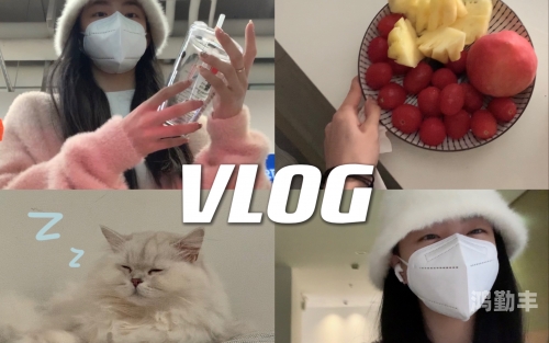 小芬的生活日记vlog小芬的生活日记Vlog，平凡中的美好与追求