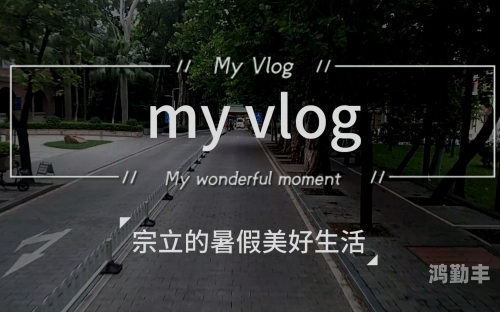 小芬的生活日记vlog小芬的生活日记Vlog，平凡中的美好与追求-第2张图片