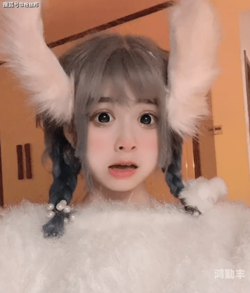 安妮辅助是谁开发的安妮辅助，科技与生活的完美融合-第1张图片