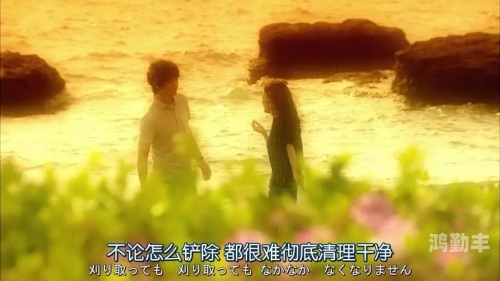 国产色情中文免国产色情——理性看待与文化背景探讨-第1张图片