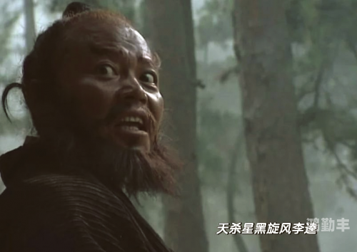 黑旋风沂岭杀四虎视频四虎视频，探索数字时代的视频新体验-第2张图片