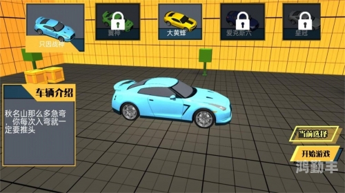 3d开车游戏沉浸式体验，探索3D开车游戏的魅力-第2张图片