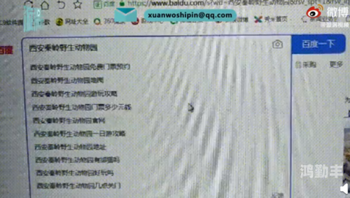 探索亚洲最大的色情网站COM-第1张图片