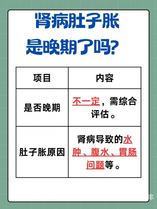 接待客人数量与肚子鼓胀现象的探究-第1张图片