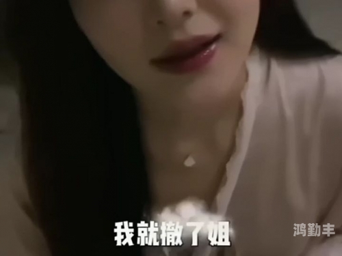 探索亚洲麻婆传媒MV的魅力与内涵