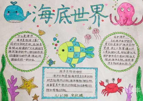 探索海洋的奥秘——香蕉鱼在线视频
