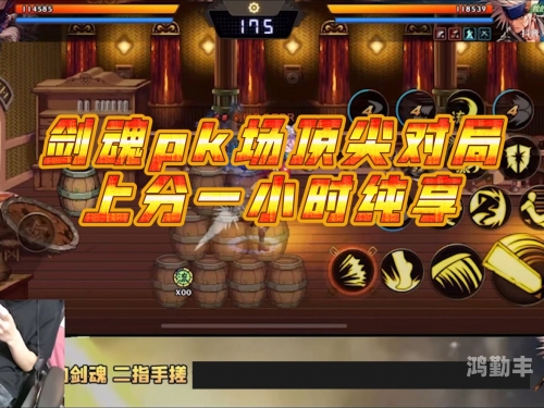 dnf刺客pk连招教学DNF刺客PK连招攻略-第1张图片