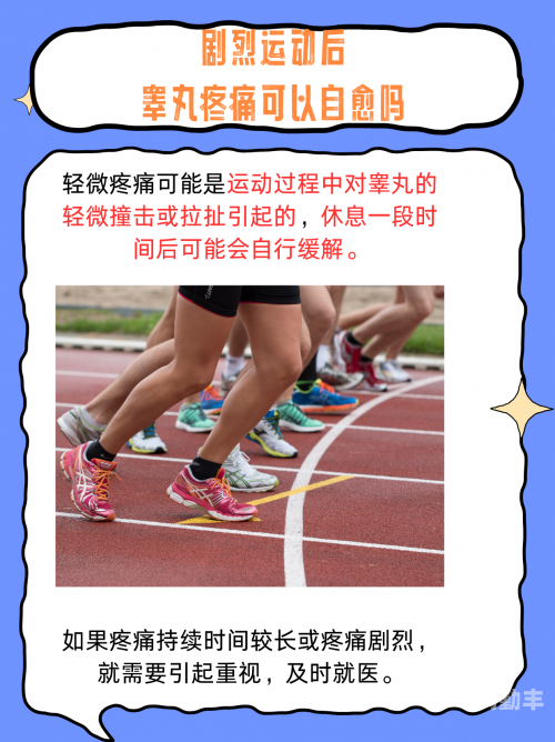 怎样玩蛋蛋最疼且安全如何玩蛋蛋最疼——一个不负责任的玩笑