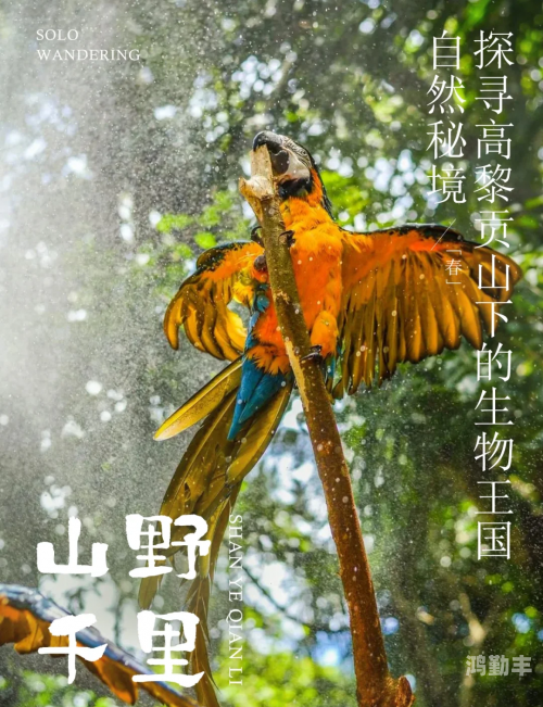 生物课上的实践之旅，亲身体验的探索之旅