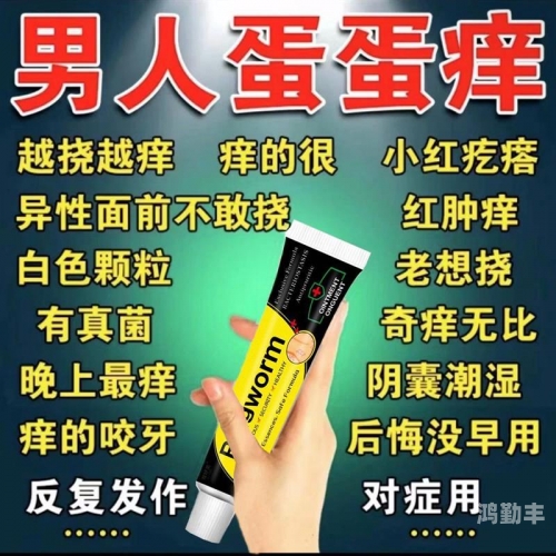 探索玩蛋蛋的100种方法，寻找最痒的乐趣-第2张图片
