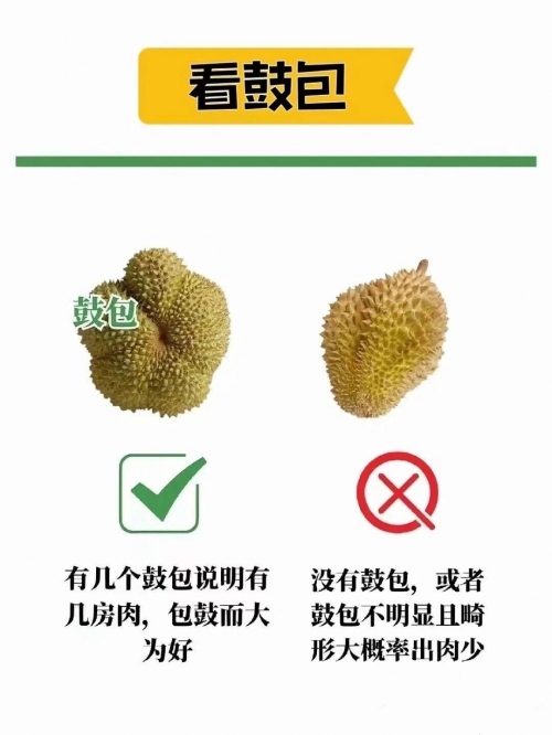 五果之味——榴莲、樱桃、绿巨人、草莓与香蕉的奇妙之旅