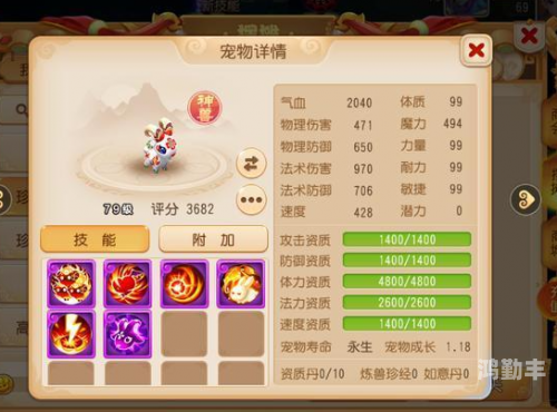 超级神鸡从天而降超级神鸡的传奇故事